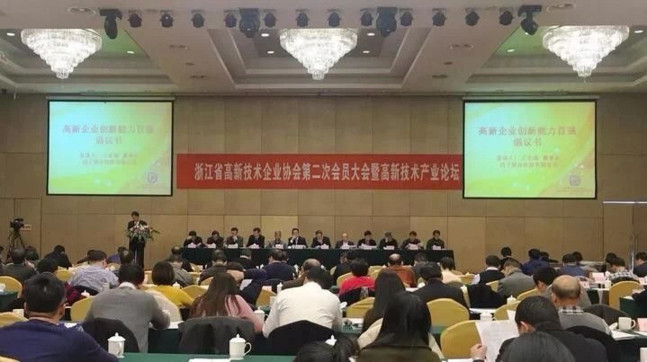 荣获2017年度浙江国家高新技术企业创新能力“丽水地区十强”